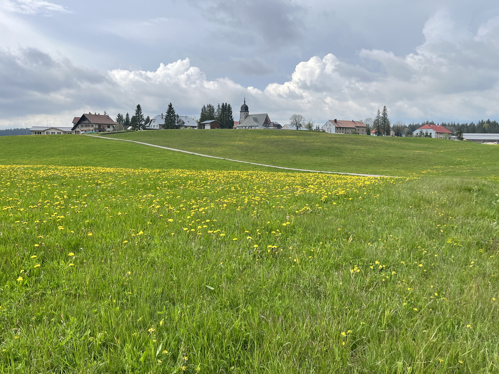 23-05-21 17-30-58 5544